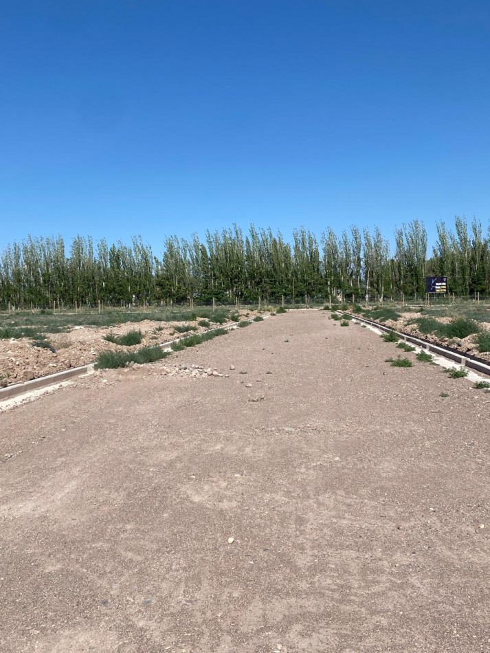 LOTE EN VENTA - BARRIO PRIVADO PENTA - PERDRIEL LUJAN DE CUYO -