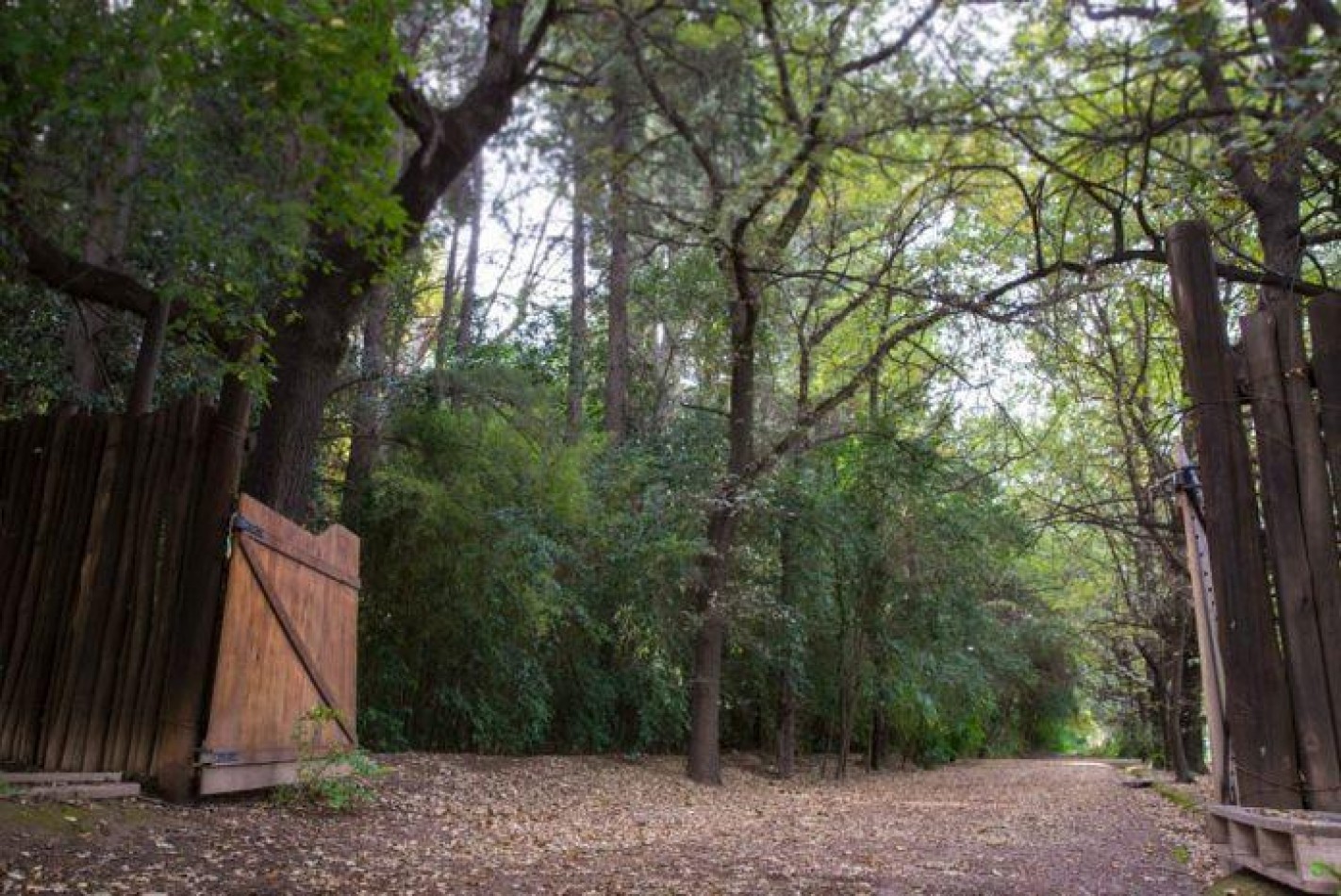 REMATAMOS - LOTE BARRIO EL BOSQUE