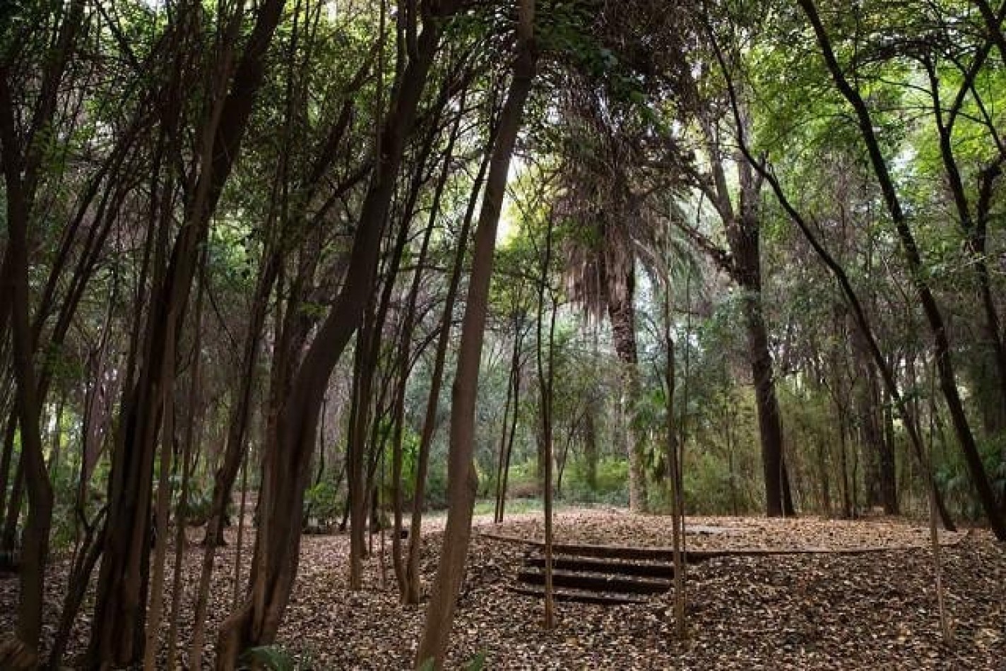 REMATAMOS - LOTE BARRIO EL BOSQUE
