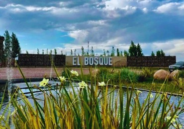 REMATAMOS - LOTE BARRIO EL BOSQUE